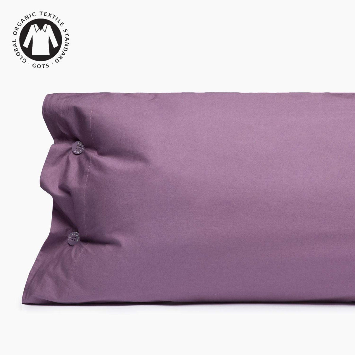 BESTO-FALMO-A LILA-0