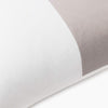 AMI-FCTES-A GRIS-2