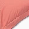 COTICO-FCTES-A ROSA-2