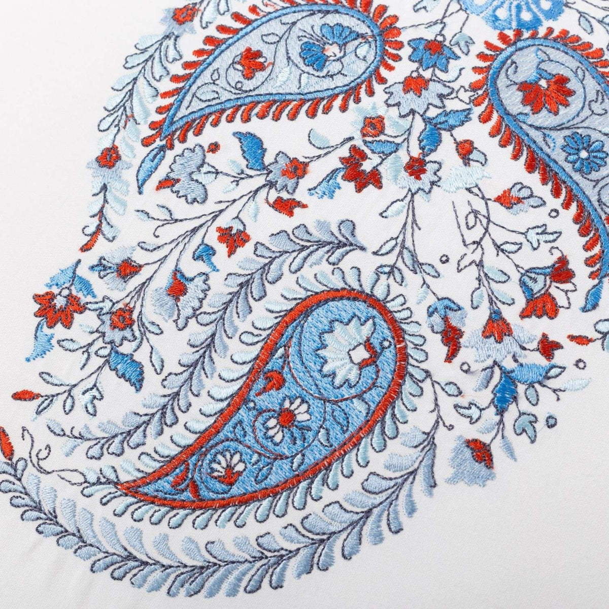 FOLEM-FCTES-A AZUL-2