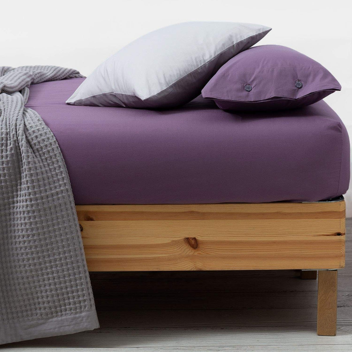 BESTO-BAJER-A LILA MALVA-1