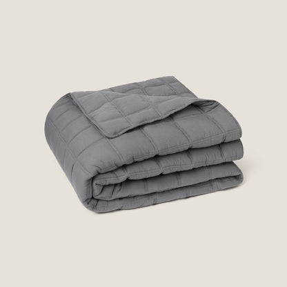 KING-COLCH-A GRIS-5