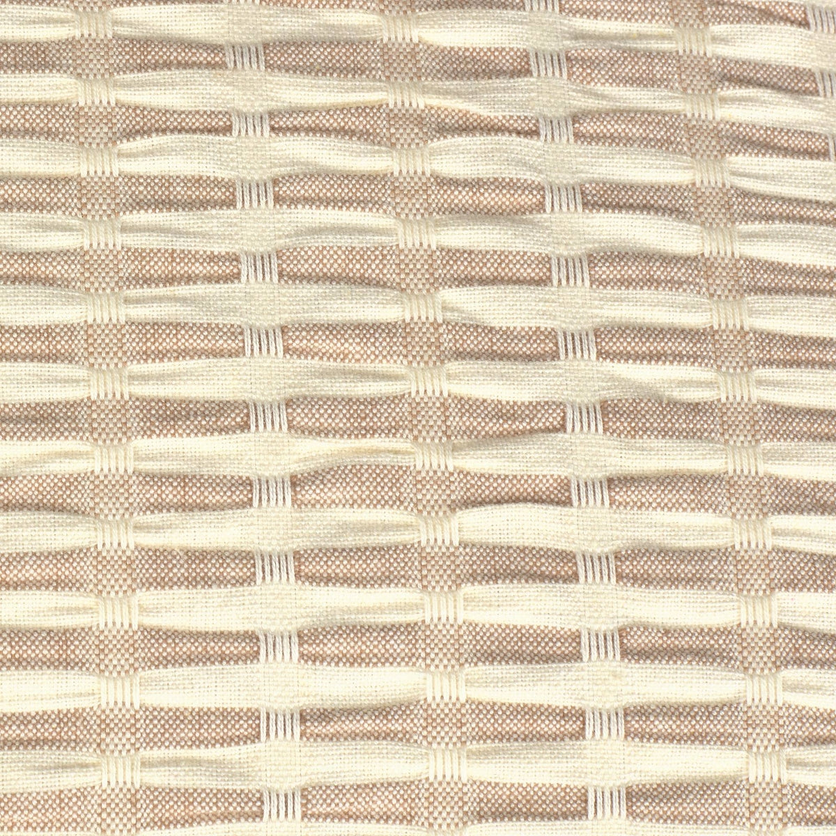 ARKANSAS-FCTEC-A MARRON-2