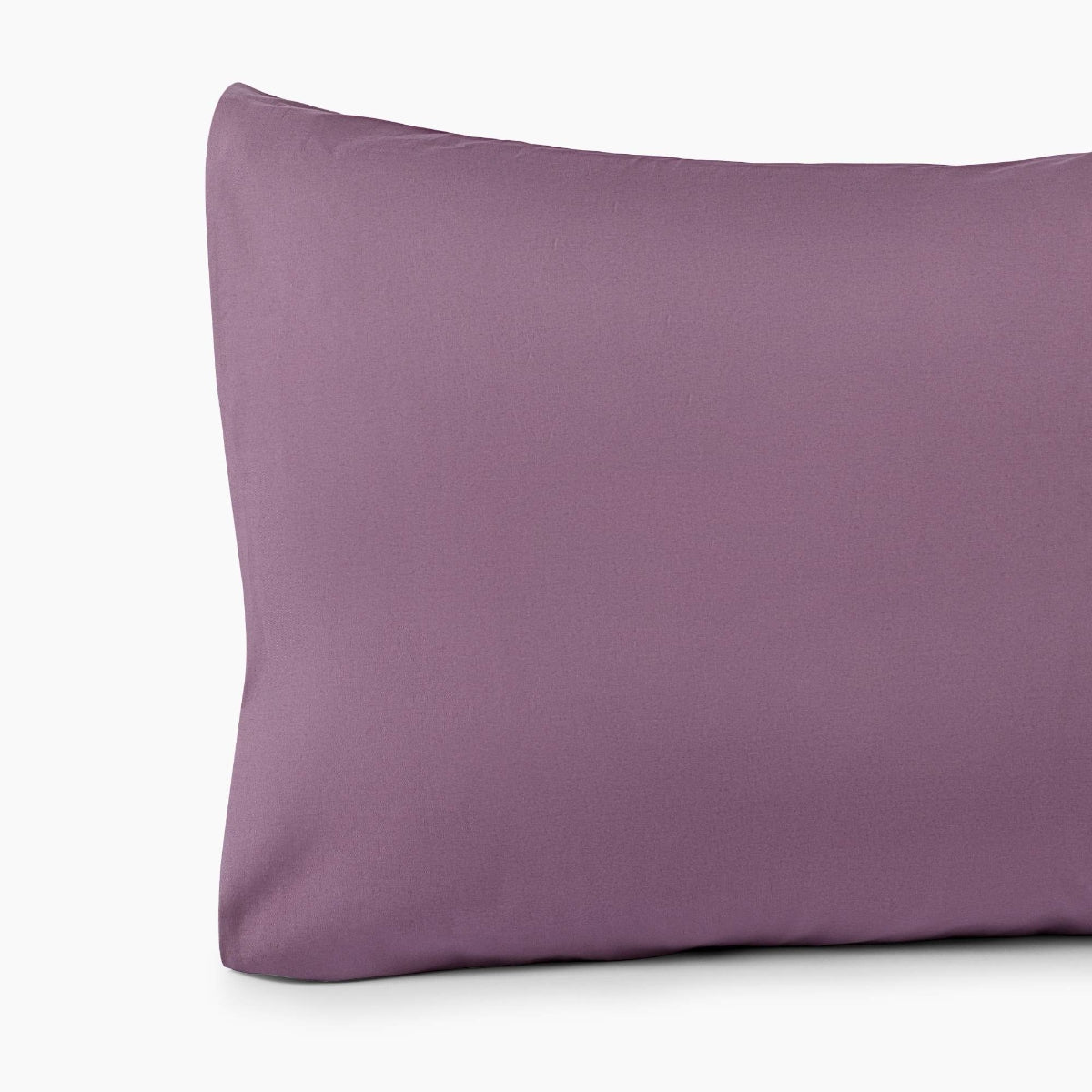 BESTO-FCTES-A LILA MALVA-0