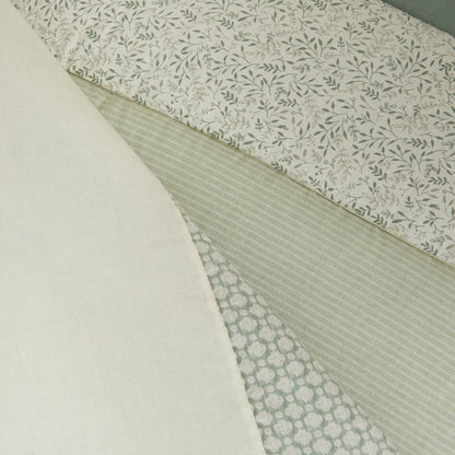 EVECOL-EDRED-A VERDE-4