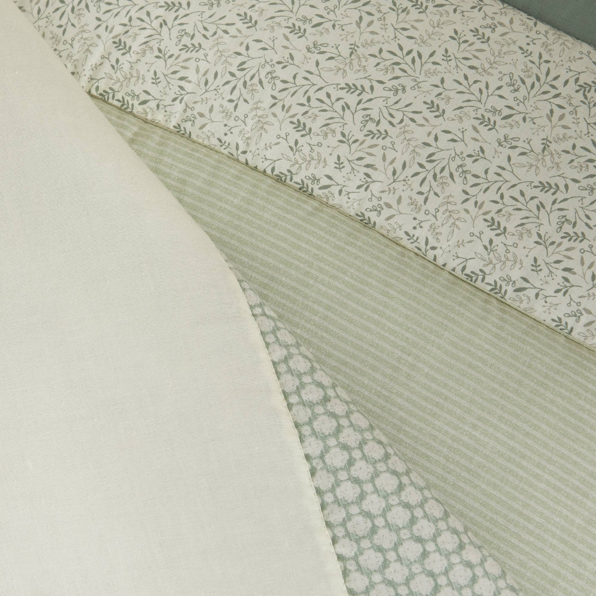 EVECOL-EDRED-A VERDE-4