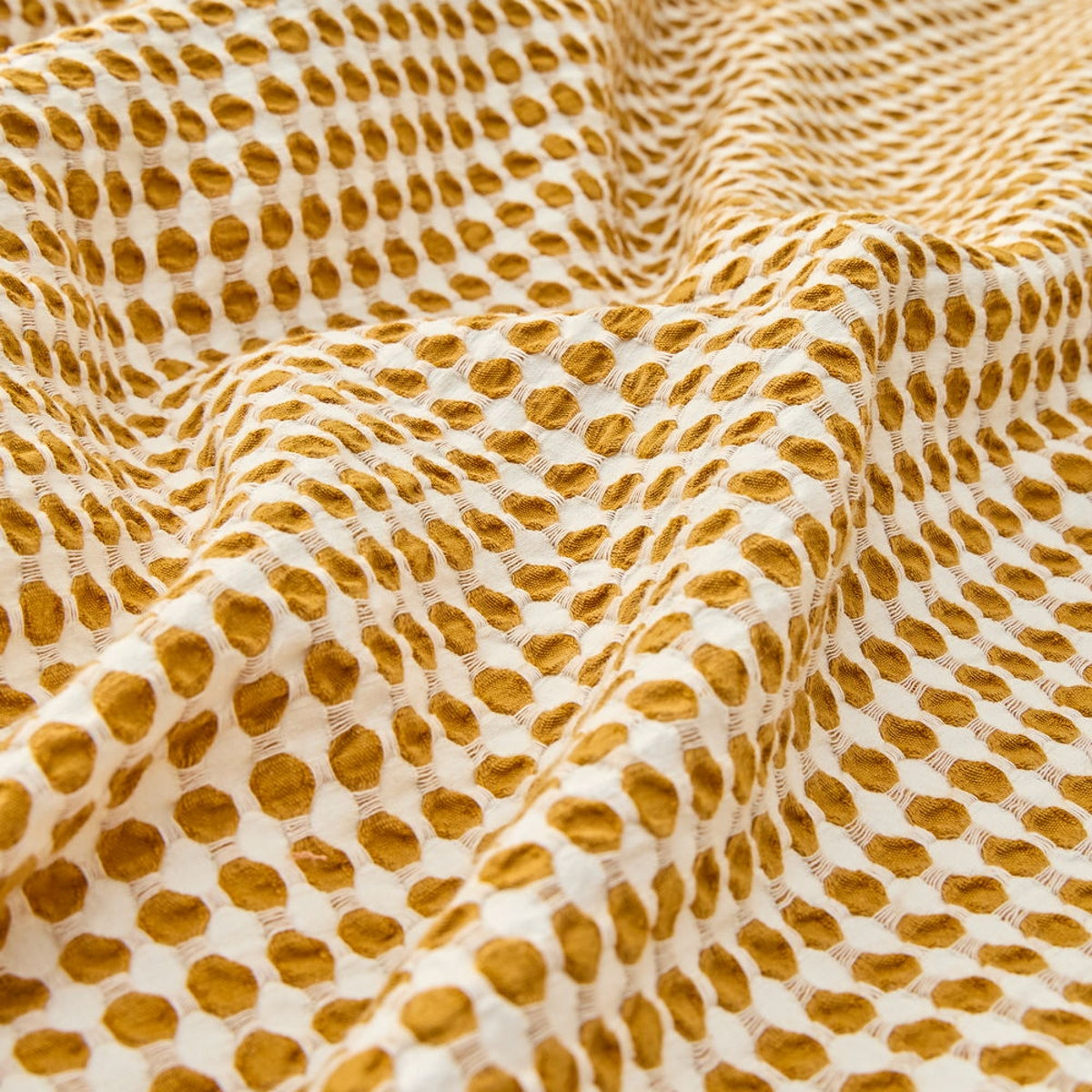 FOTEX-FNORD-A AMARILLO OCRE-5
