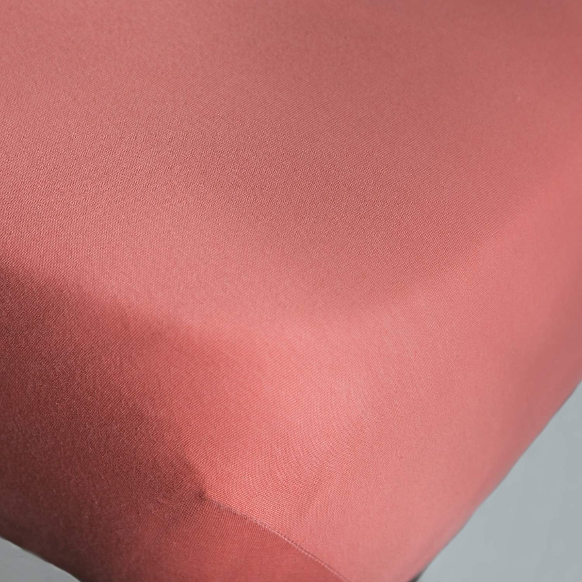 KIRA-BAJER-I TEJA CORAL-1
