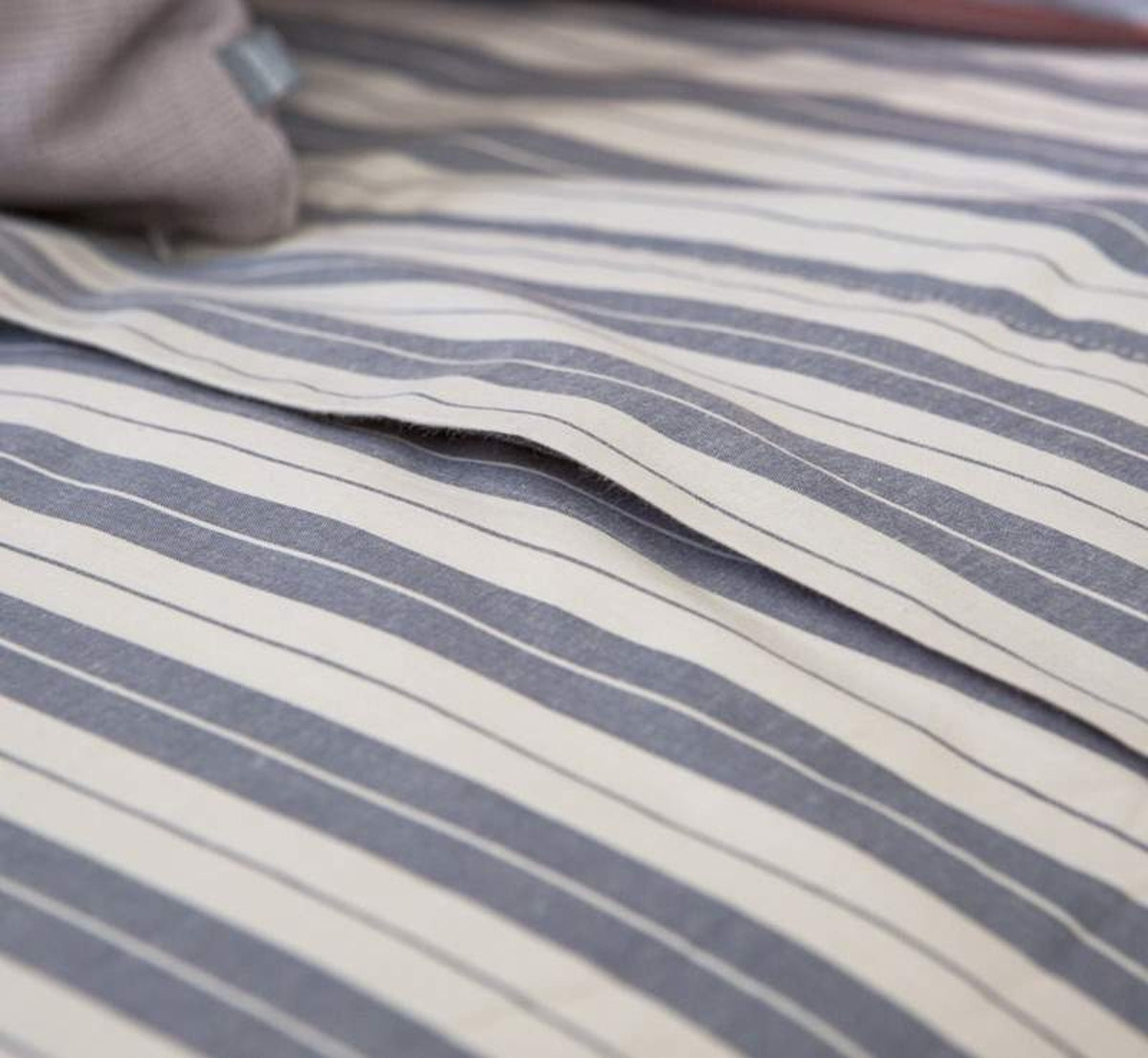 RAYEX-SABAN-A VARIOS-1