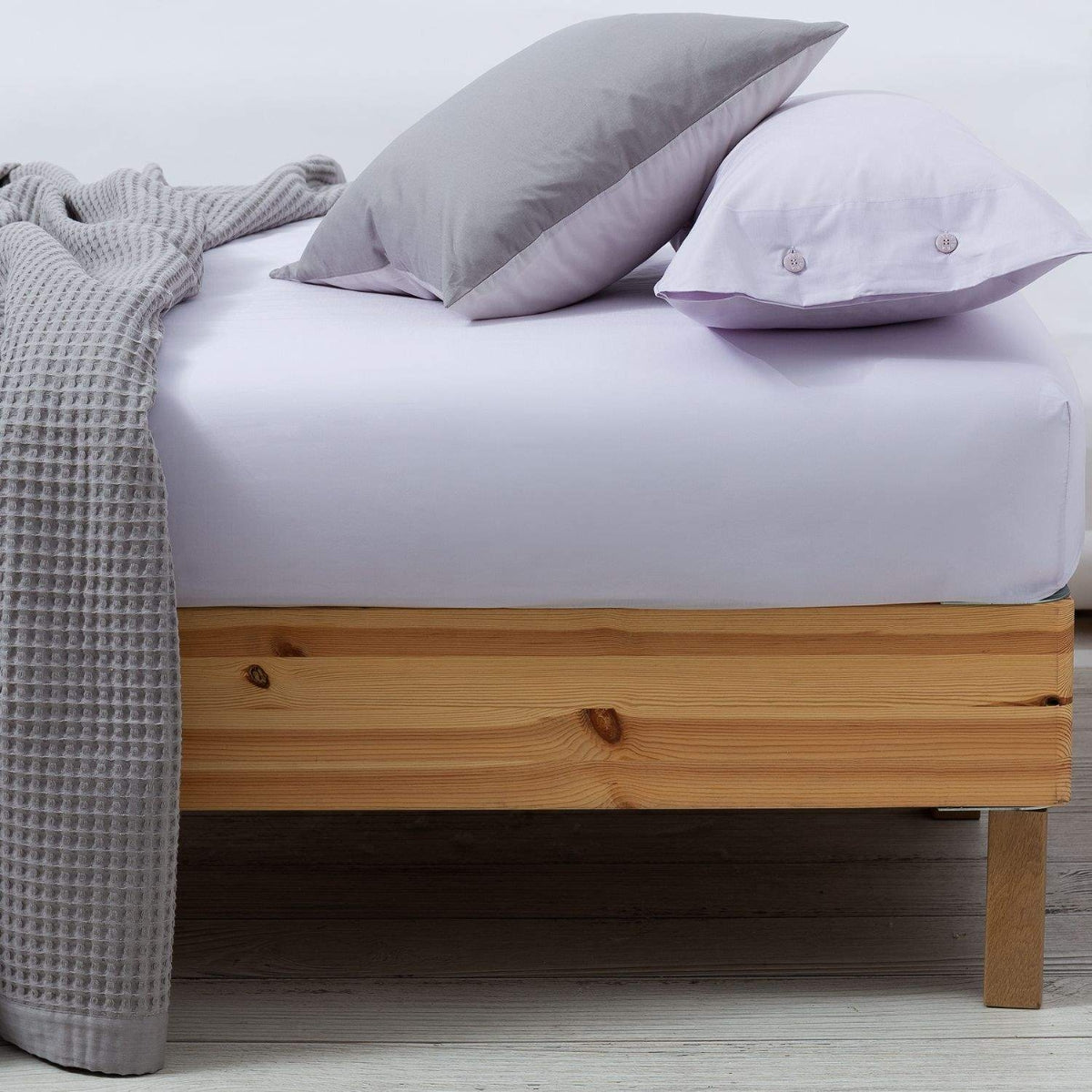 BESTO-BAJER-A LILA-1