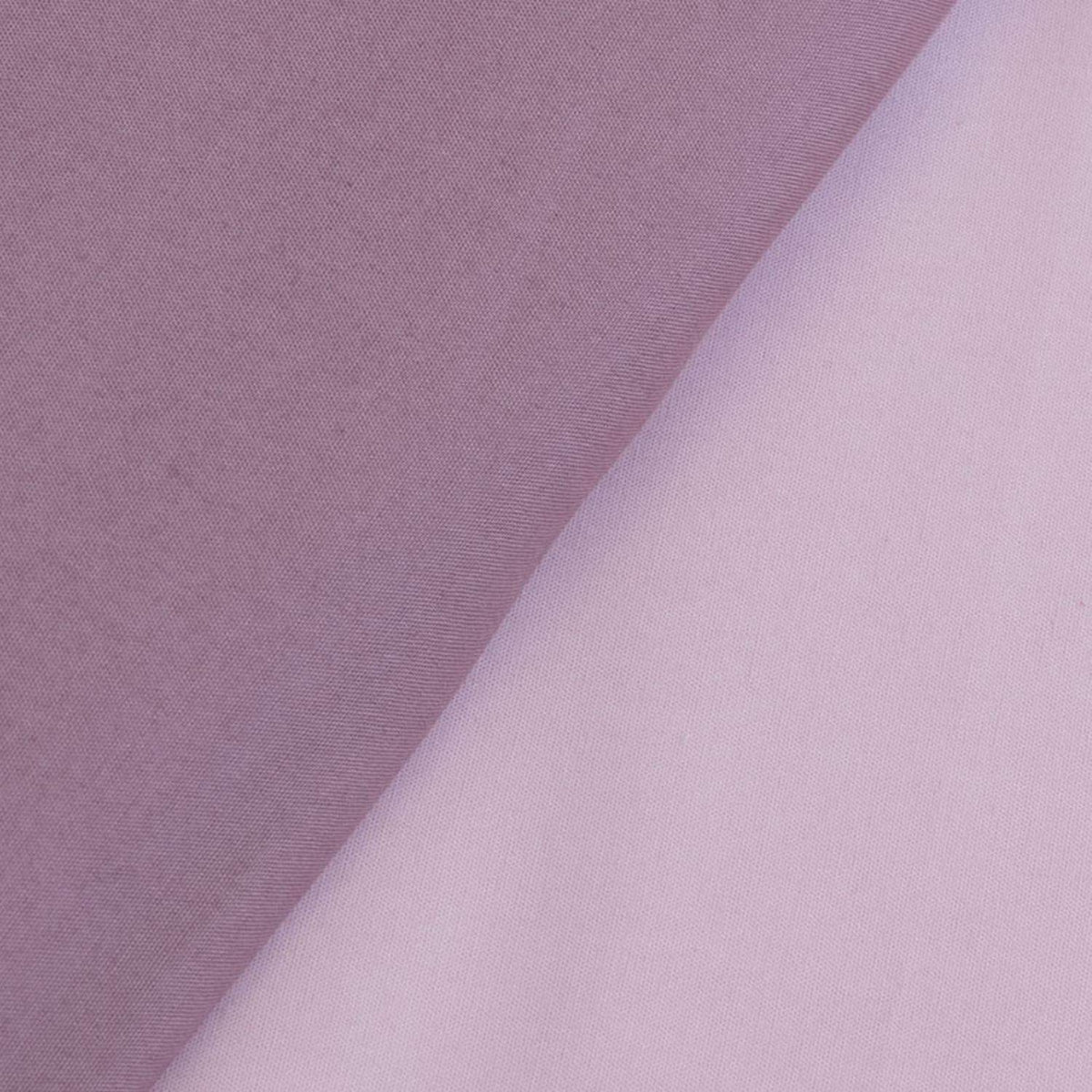 BEST-FNORD-A ROSA PALO-3