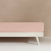 BESTO-BAJER-A ROSA-2
