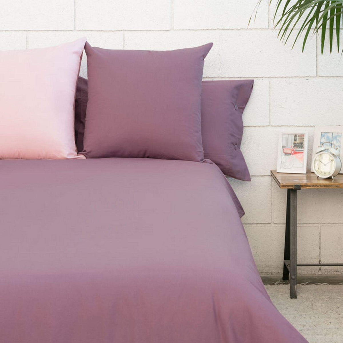 BEST-FNORD-A ROSA PALO-0