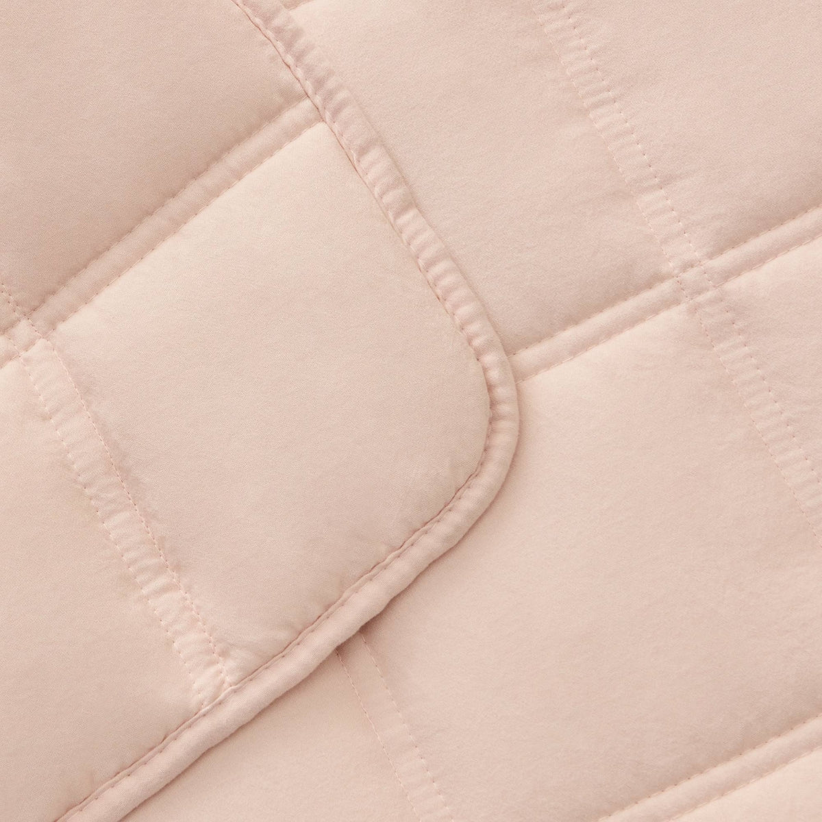 KING-COLCH-I ROSA-3