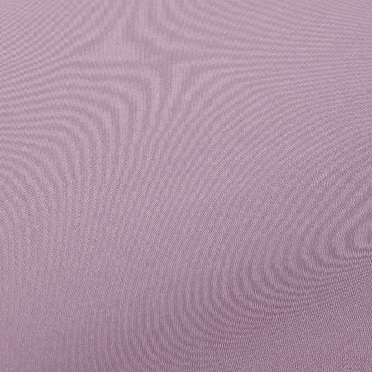 BEST-FALMO-A LILA MALVA-1