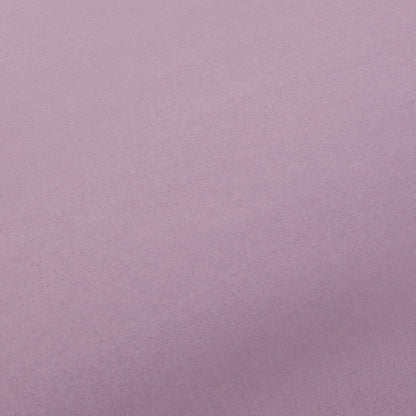 BEST-FALMO-A LILA MALVA-1