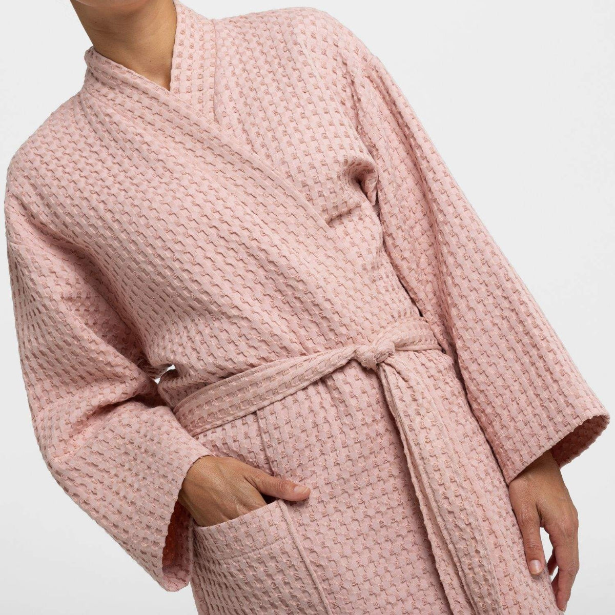 FAVO-ALBOR-A ROSA-2