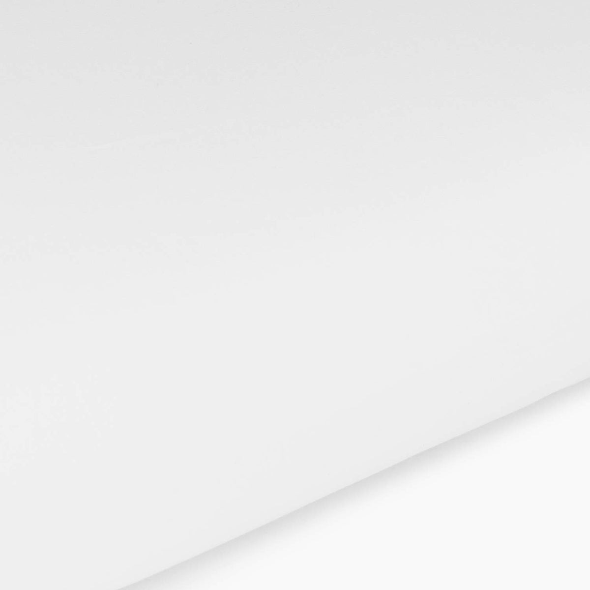 RECVIS-RELLA-A BLANCO-1