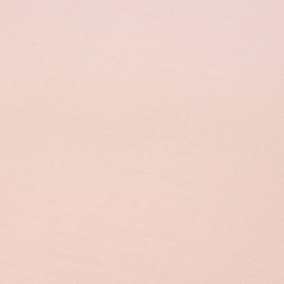 BESTO-FALMO-A ROSA-1