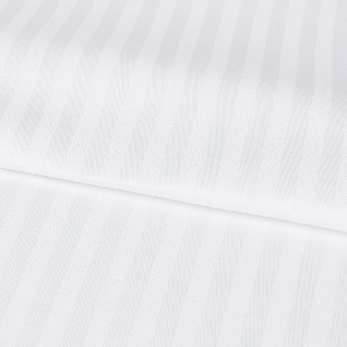 ASIA-PROTA-A BLANCO-3