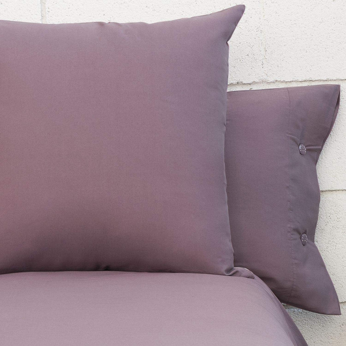 BEST-FNORD-A ROSA PALO-2