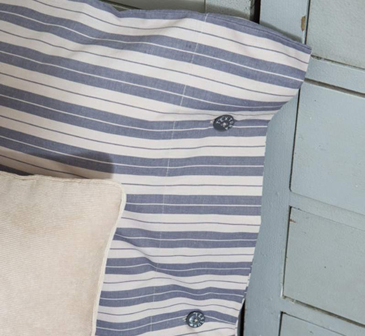 RAYEX-SABAN-A VARIOS-2