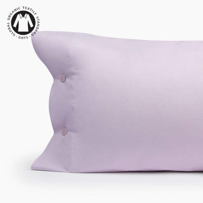 BESTO-FALMO-A LILA-0