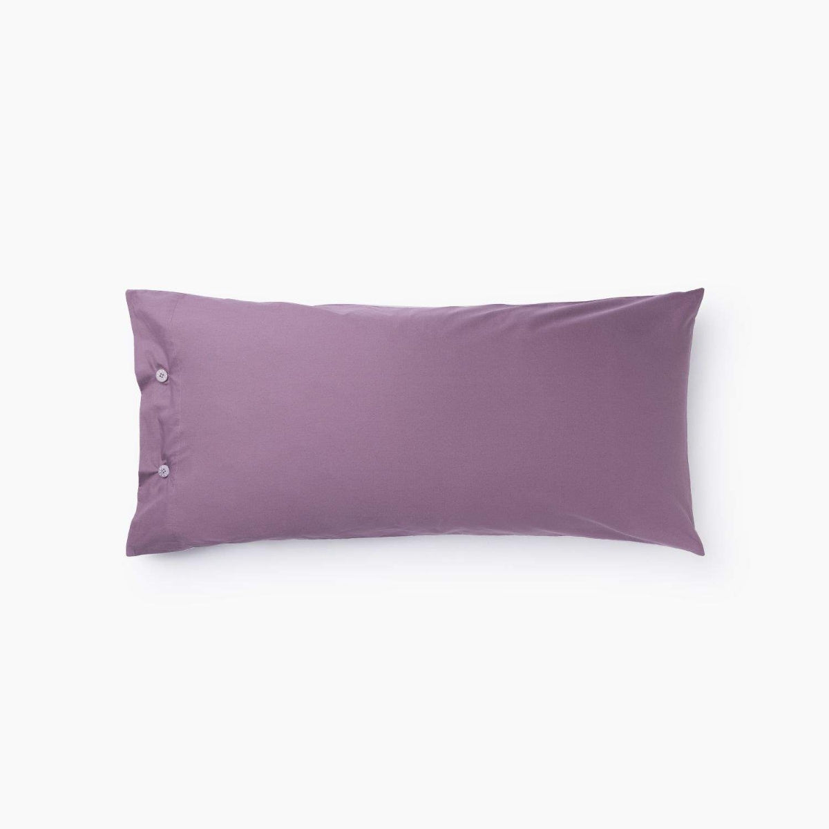 BESTO-FALMO-A LILA MALVA-2