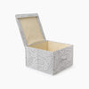PARBOX-CAJAS-N 2 GRIS-4