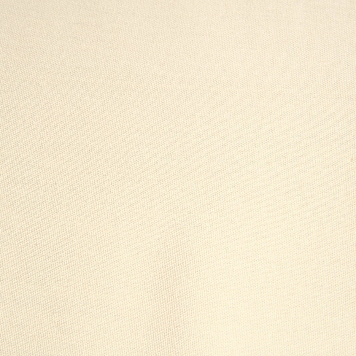 ETNIX-FALMO-A MARFIL CRUDO-1