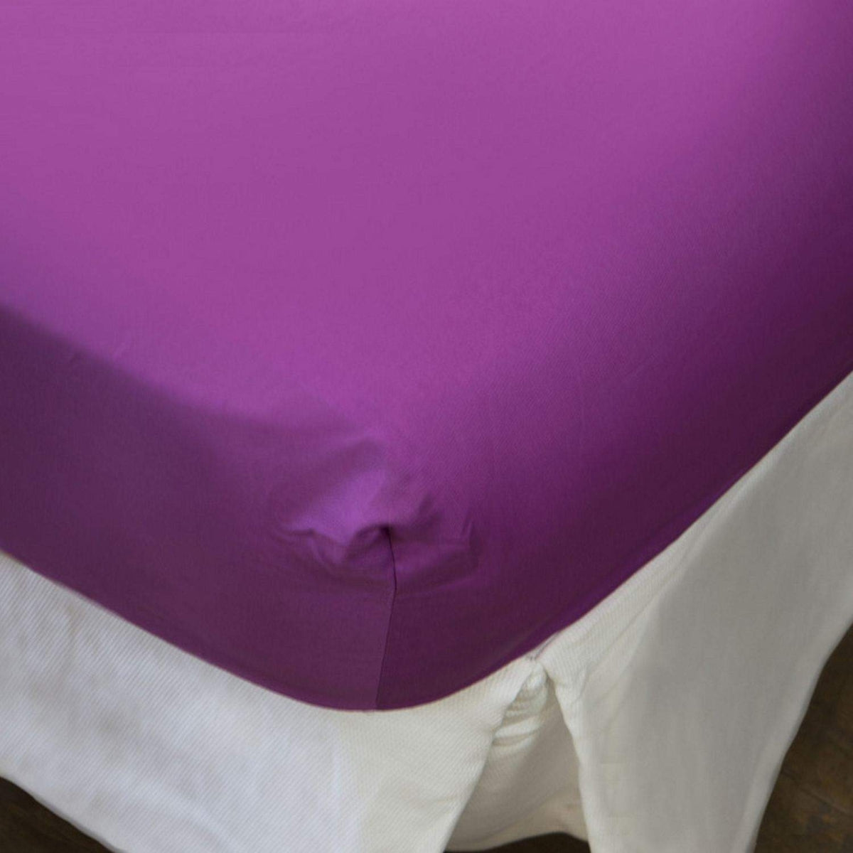 BEST-BAJER-I LILA MORADO-0