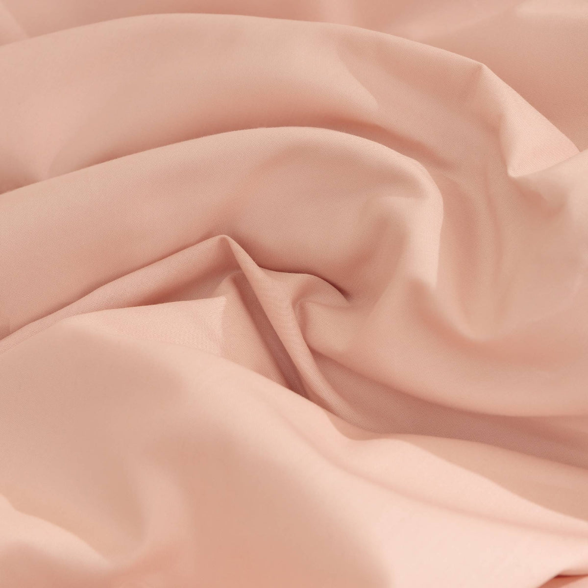 BESTO-FNORD-A ROSA-7