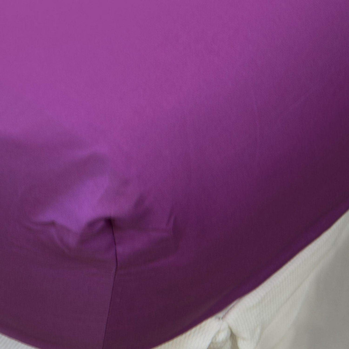BEST-BAJER-I LILA MORADO-1