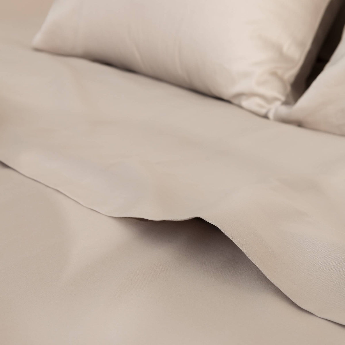 RITZI-SABAN-A GRIS-1